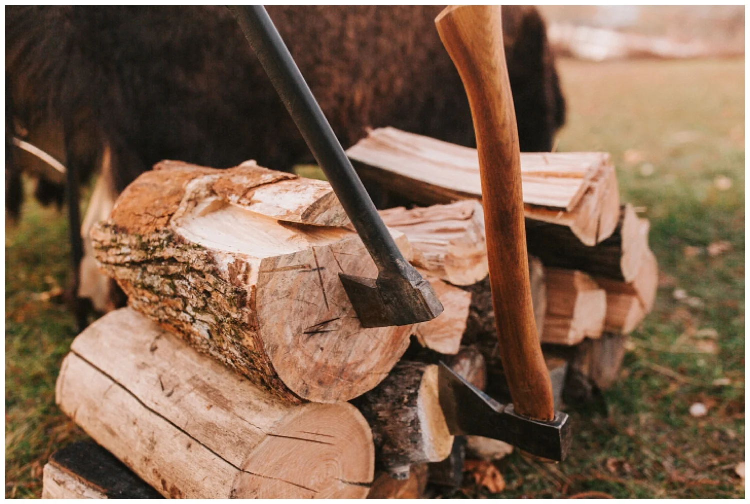 cozy_campfire_campsite_engagement_anniversary_session_nebraska_photographer_haley_chicoine_adventureous_wedding_0021.jpg
