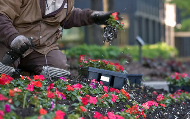 wenke-greenhouses-landscaper.jpg