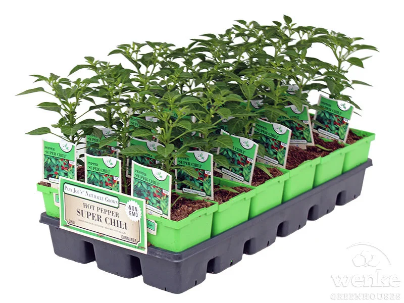 3.5" Papa Joe's Vegetable