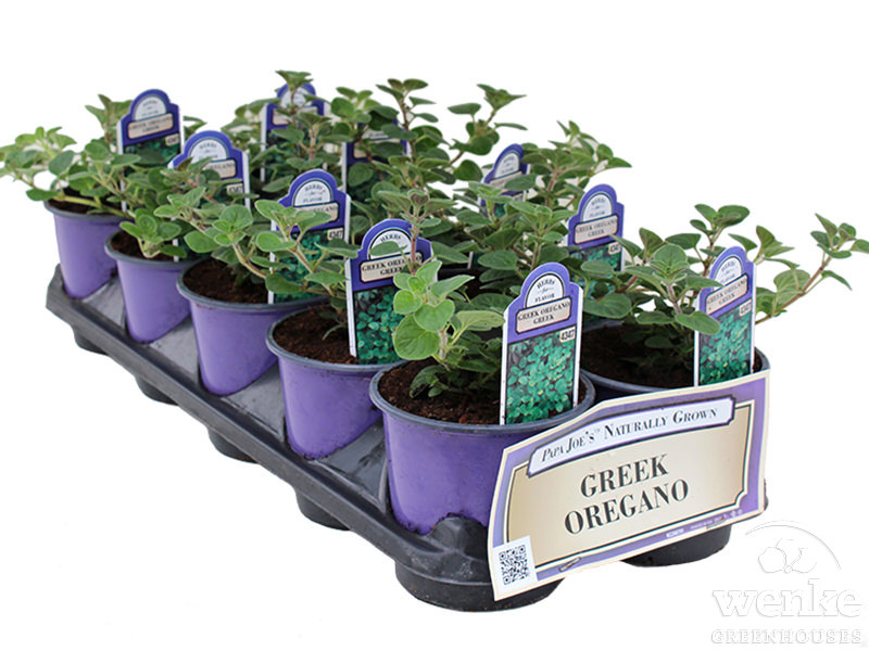 4" Papa Joe's Herb