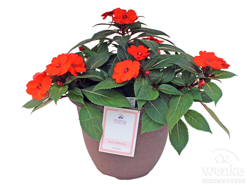 10.5" Classical Planter