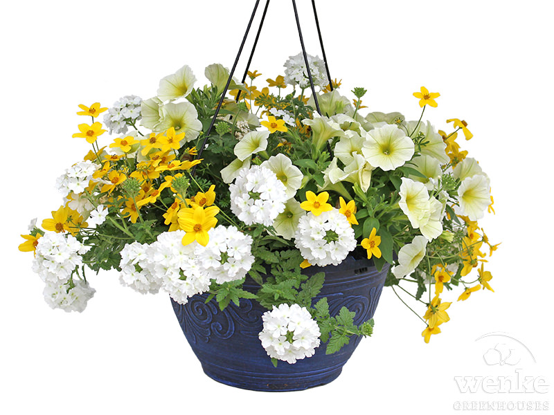 12.5" Combo Basket