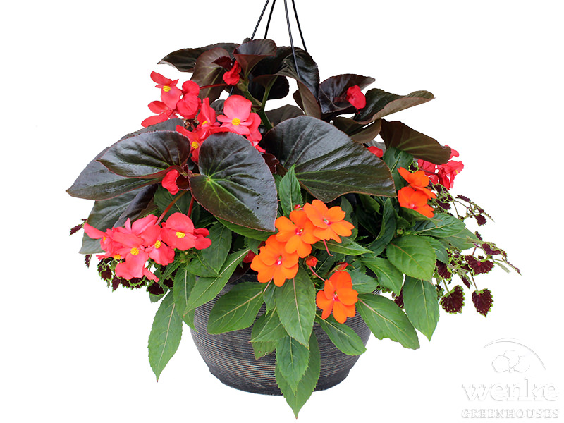 12.5" Inspiration Basket