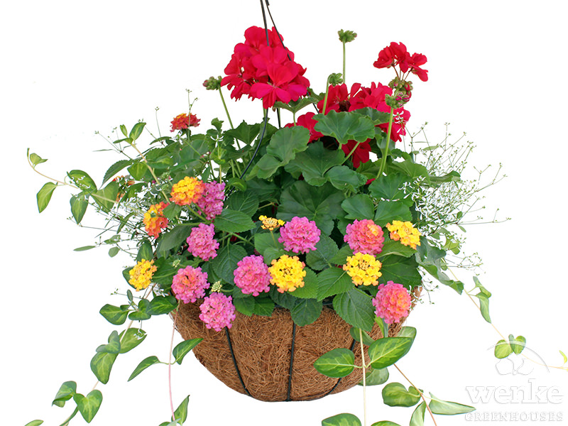 14" Coco Basket