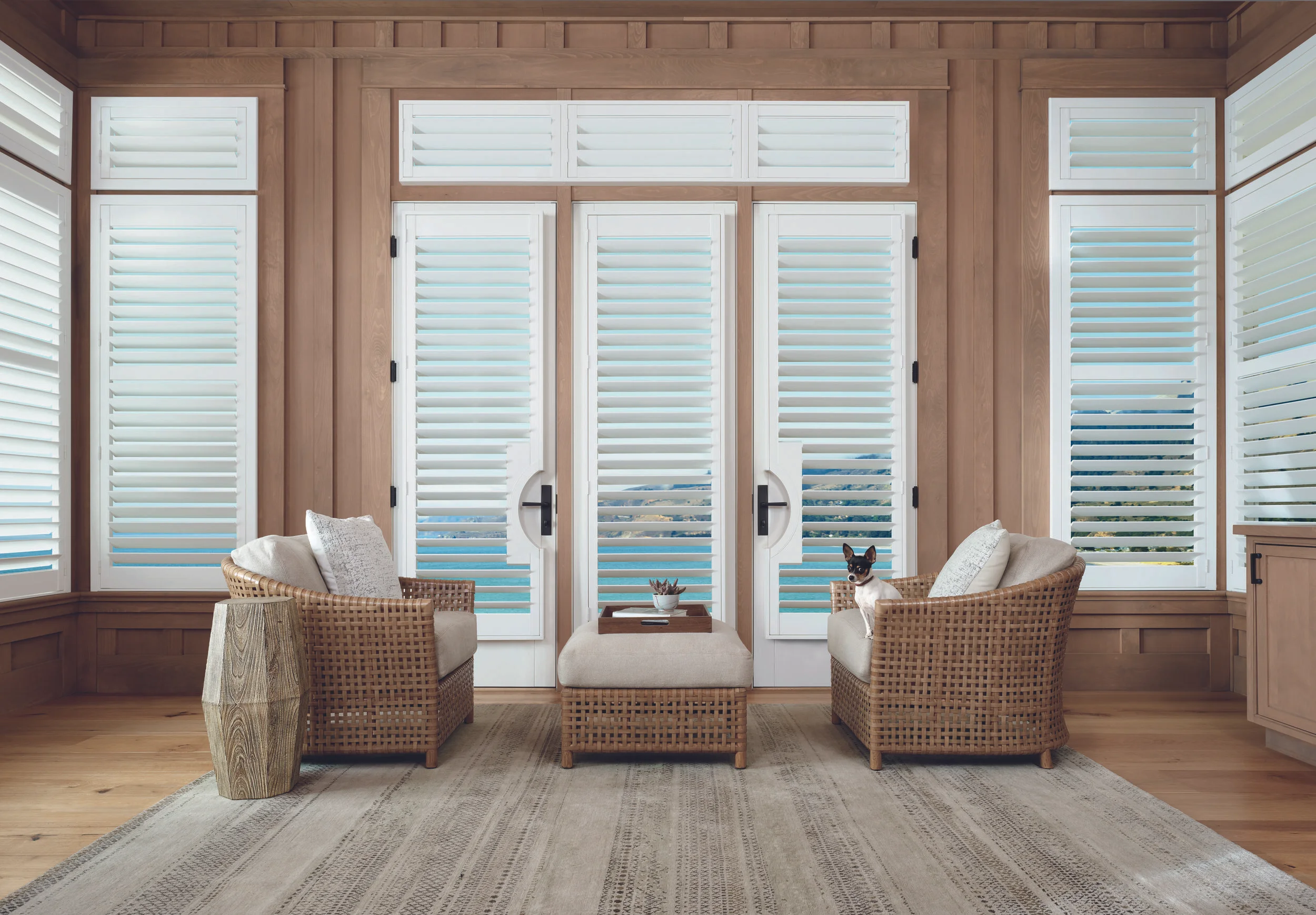 2017_PB_FrenchDoor_LivingRoom_Dog-CROP SHUTTERS IN DOORS.jpg