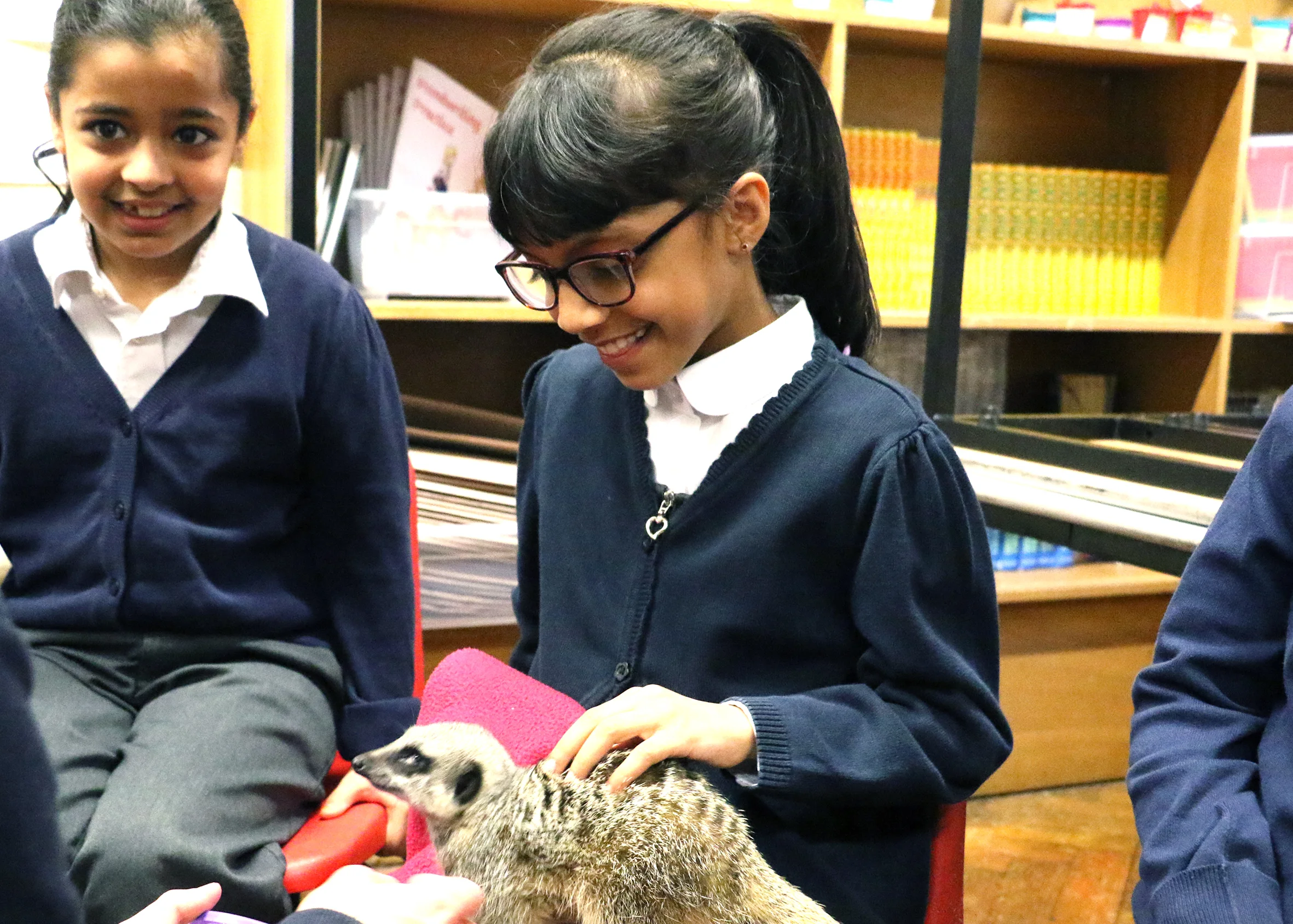 Year 3 had a visit from MEERKATS!