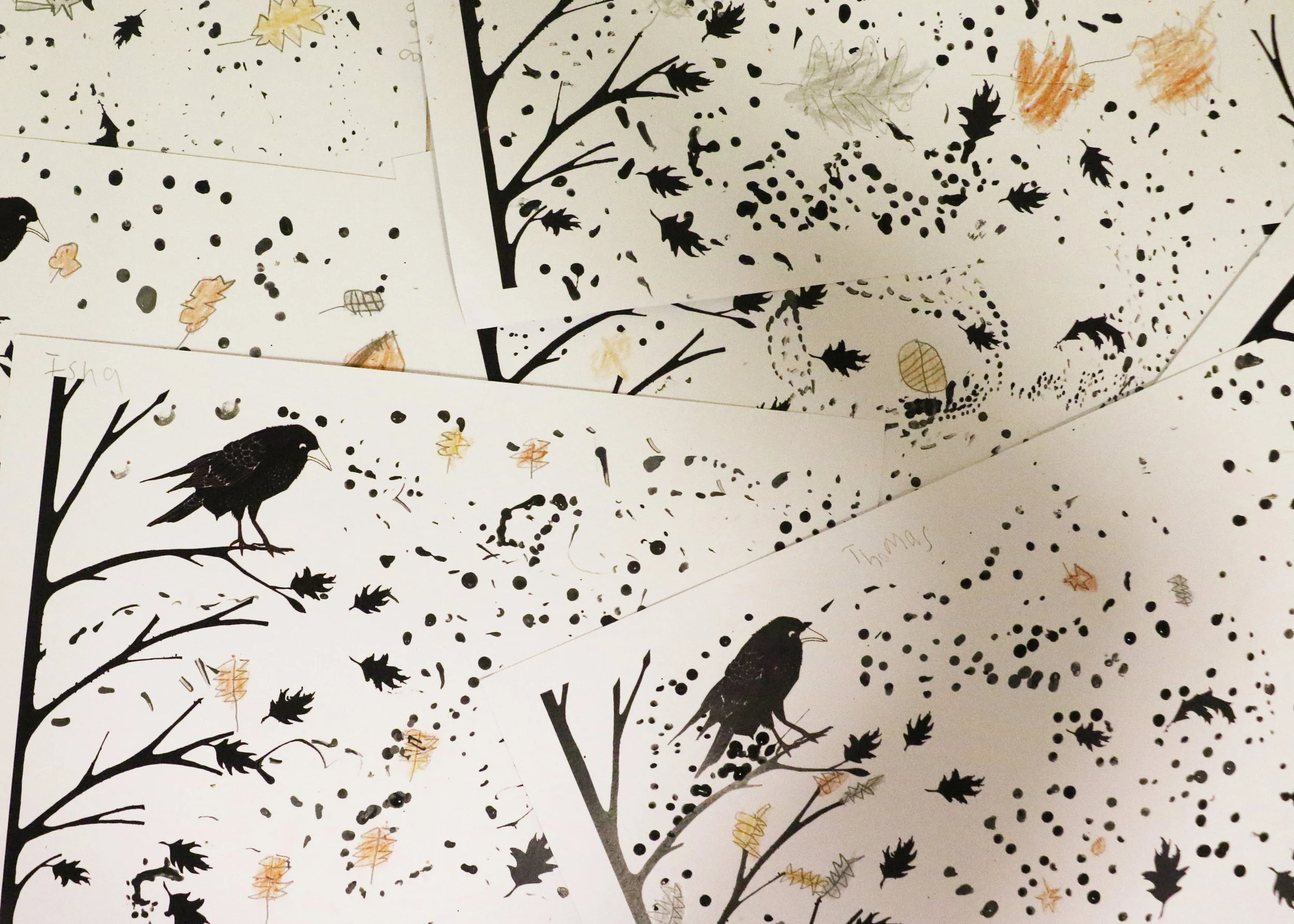 Arts Week... A first look...