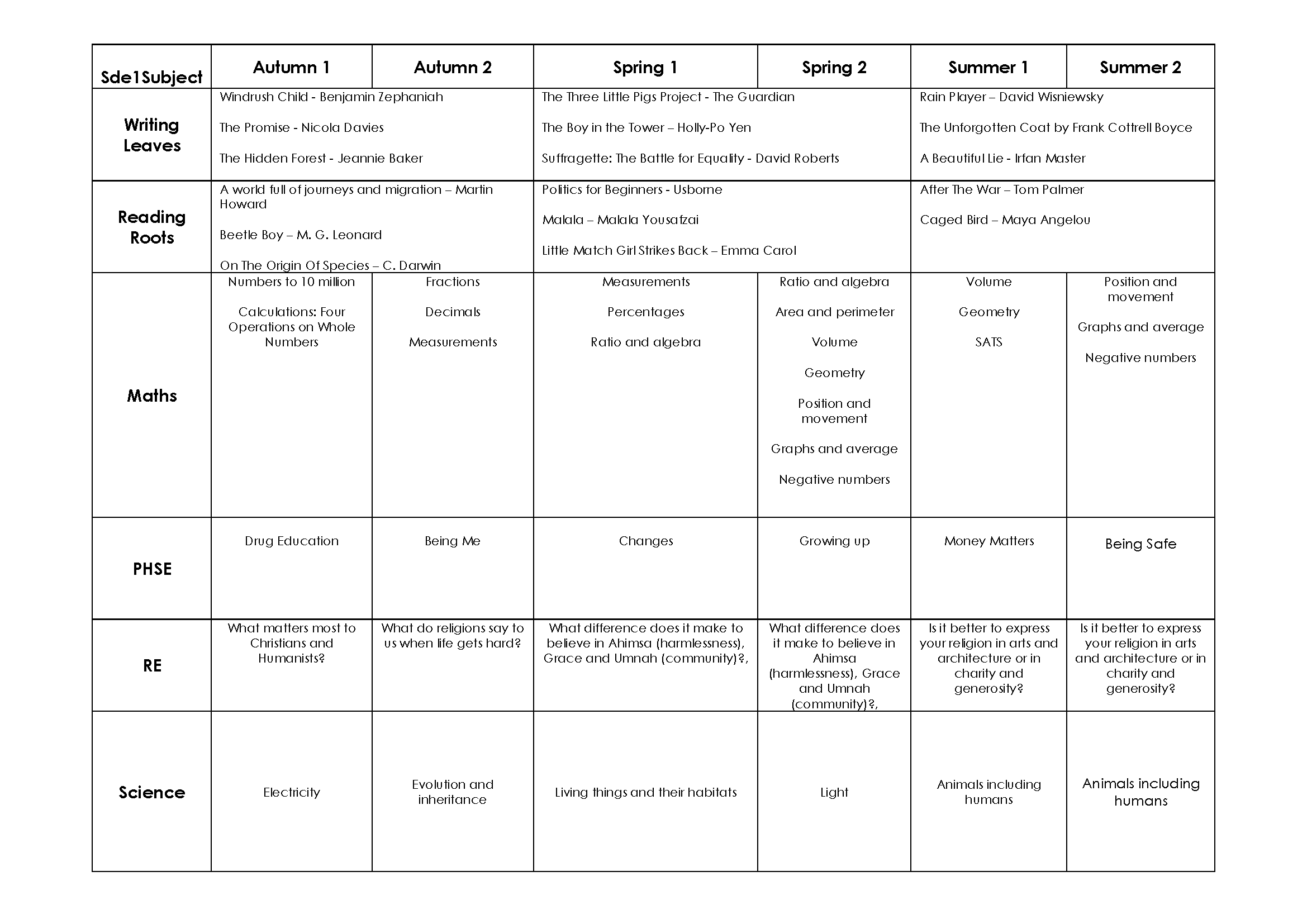 Year 6 long term plan_Page_1.png