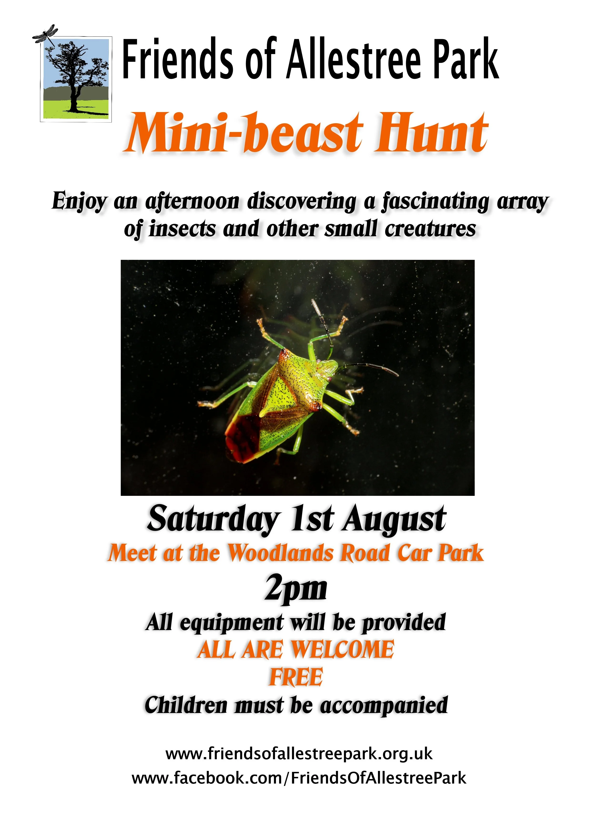 Minibeast Hunt at Allestree Park