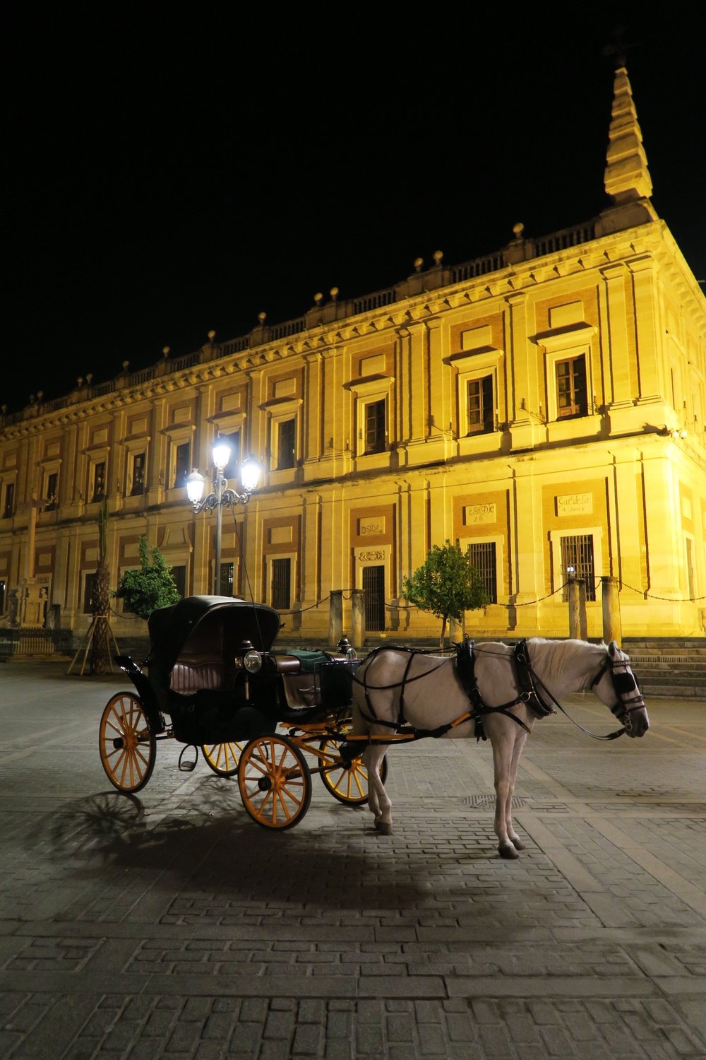 Sevilla horse and carriage from Sincerely Yours Susie Seville blog post. Photo credit Susie Cormack Bruce.JPG