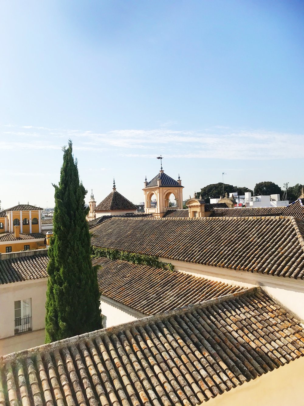 Seville rooftops from Sincerely Yours Susie blog. Credit photo Susie Cormack Bruce.JPG