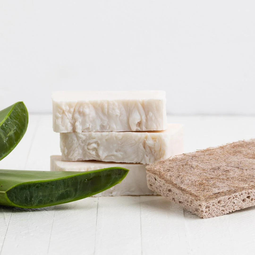 Dish Soap Bar_Sebesta Apothecary-v2_Square.jpg