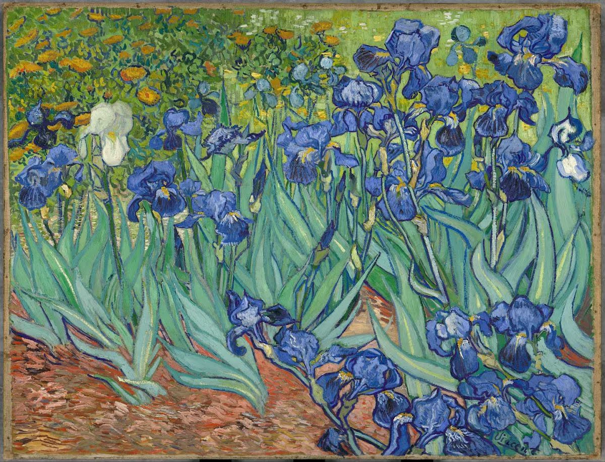 Van+Gogh+Irises.jpg