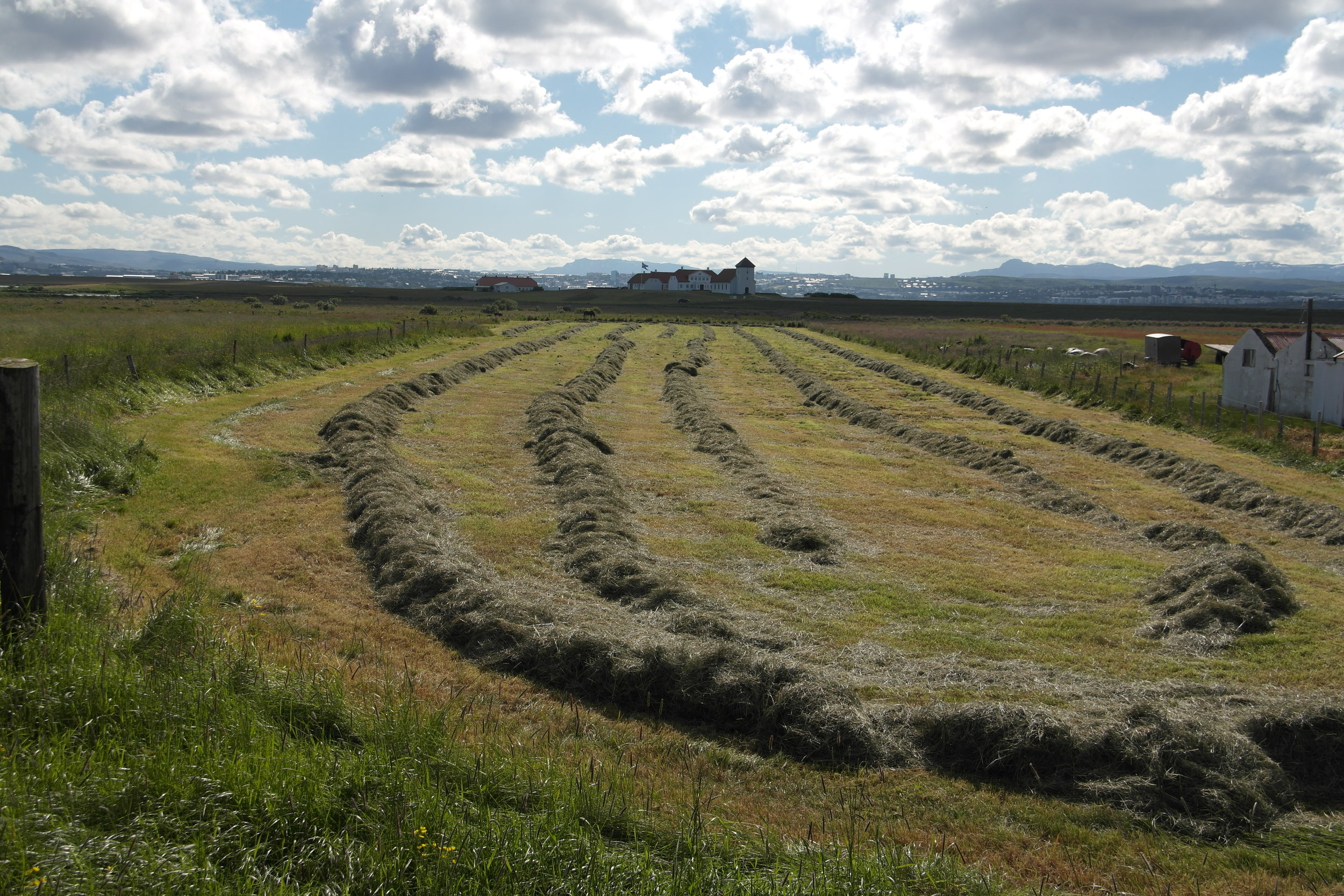 Harvest time 