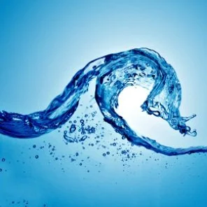 Alumni Circle: Honoring the Water Element with Rebecca Donato