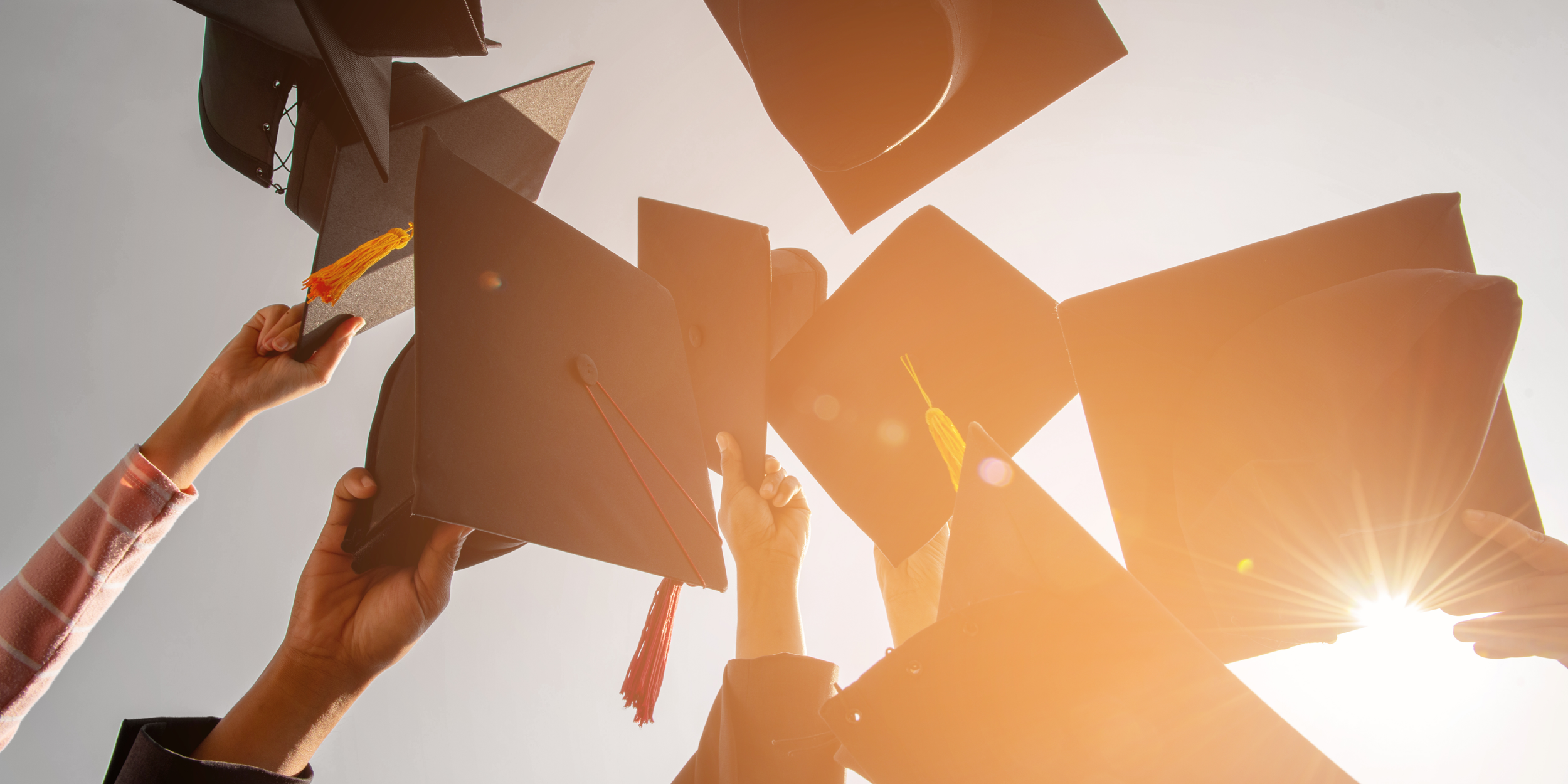 Untitled design (34).png
