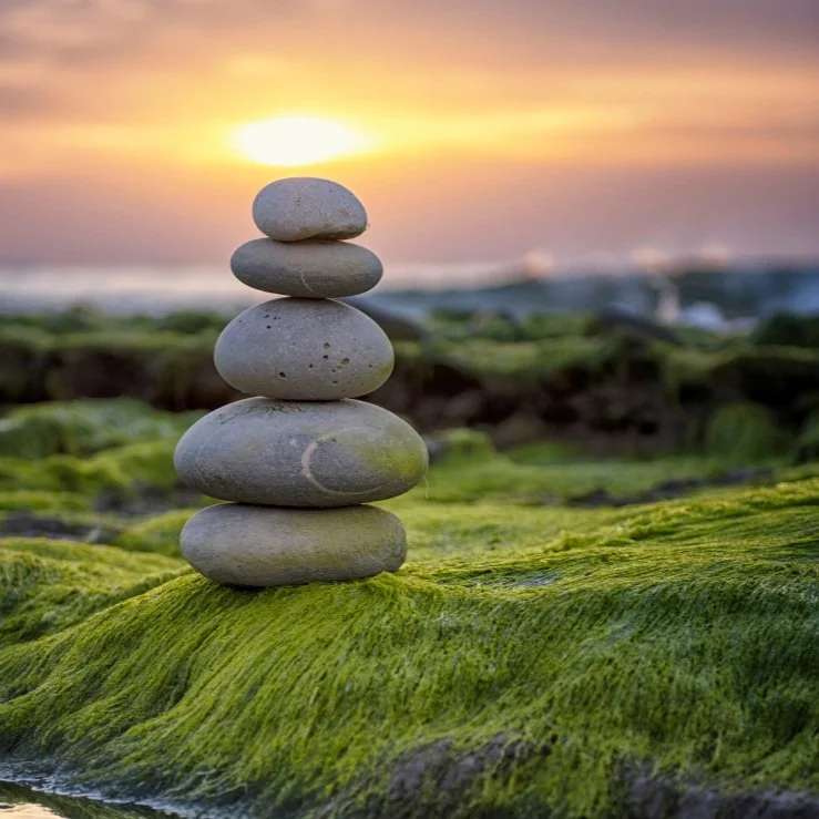 Free Lecture: Disturbances in the Mind-Body Connection