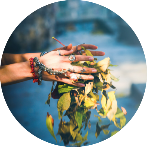 Simply Let Go! Embrace the Fall Transition