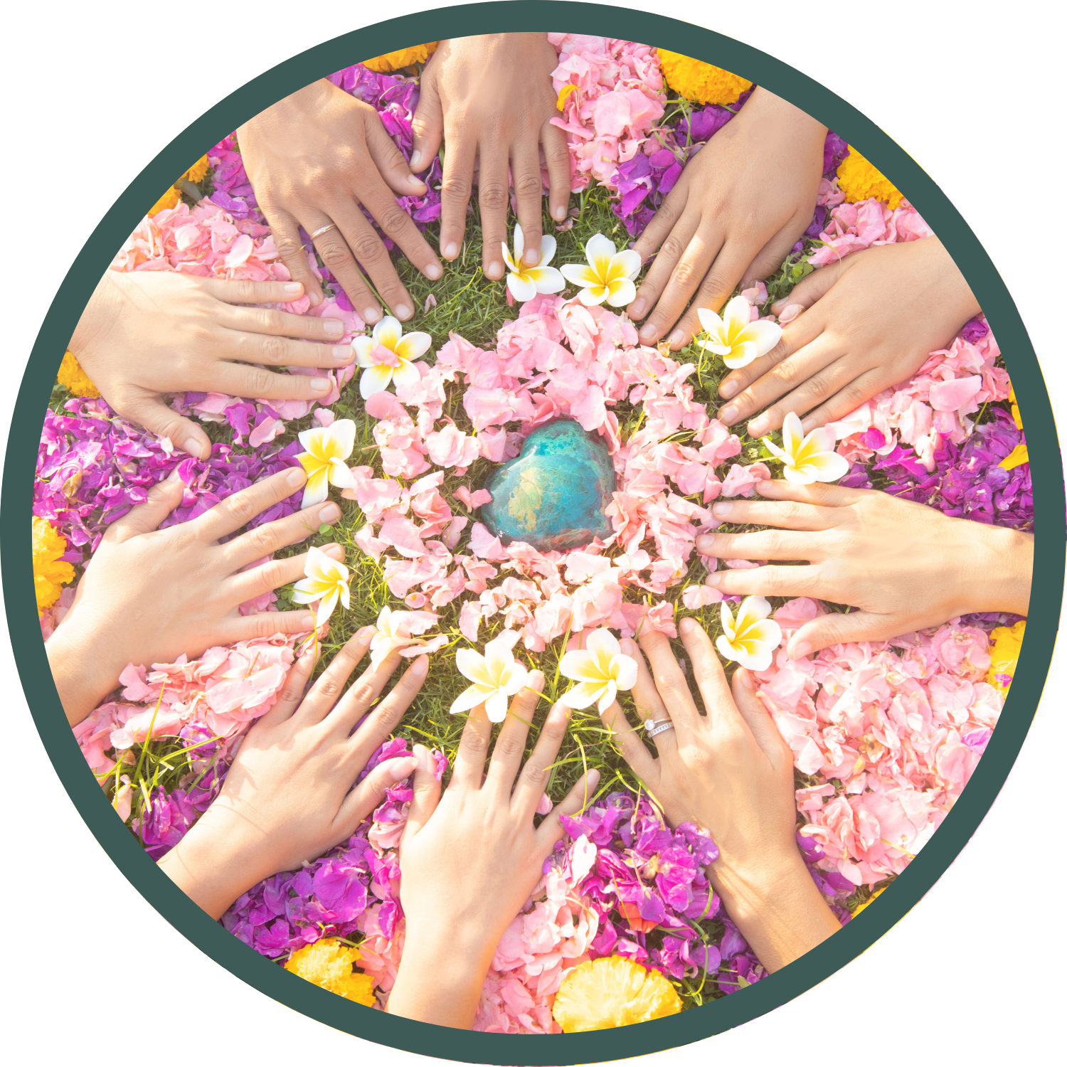 Virtual Alumni Circle: Meet and Greet