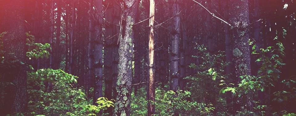 Second Eaux Claires Festival Is A Go