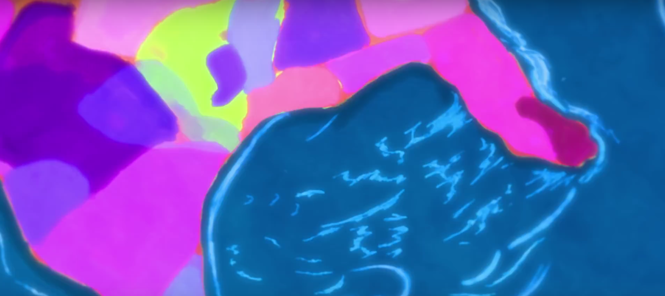Animal Collective Shares New Music Video