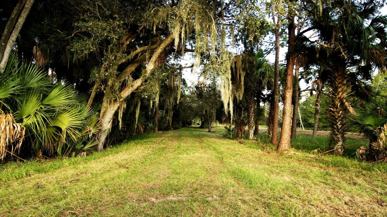 Okeechobee Music and Arts Festival is a go!