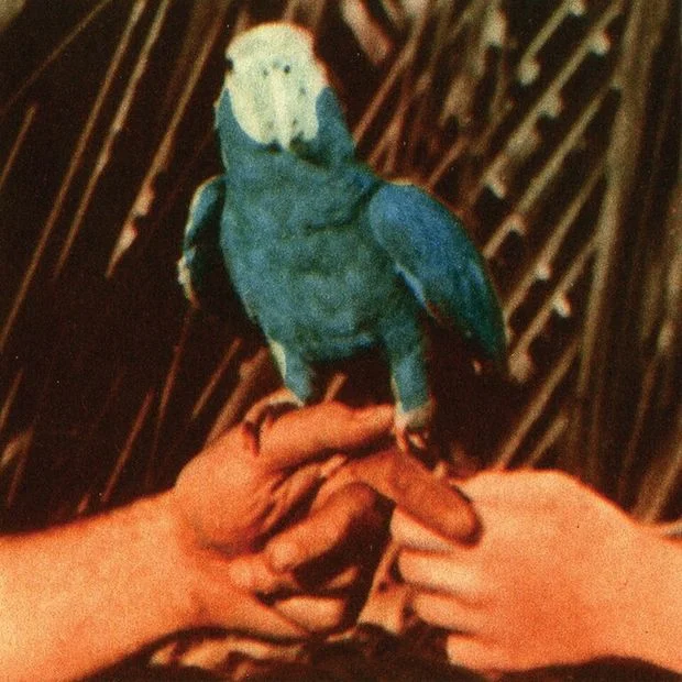 Andrew Bird Announces New Album