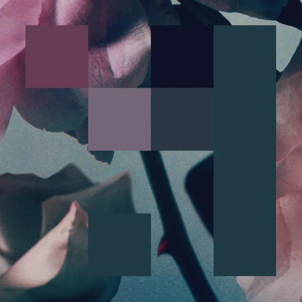 Chvrches Release New Music Video