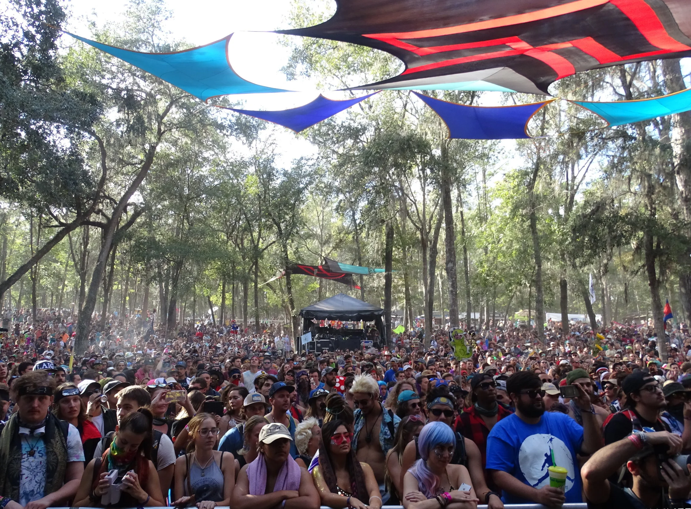 What Makes Suwannee Hulaween Unique
