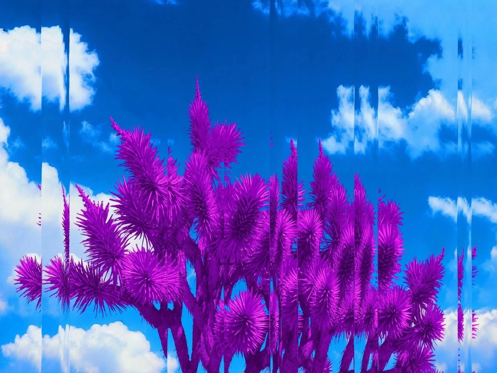 Why You're Attending M3F Fest 2026