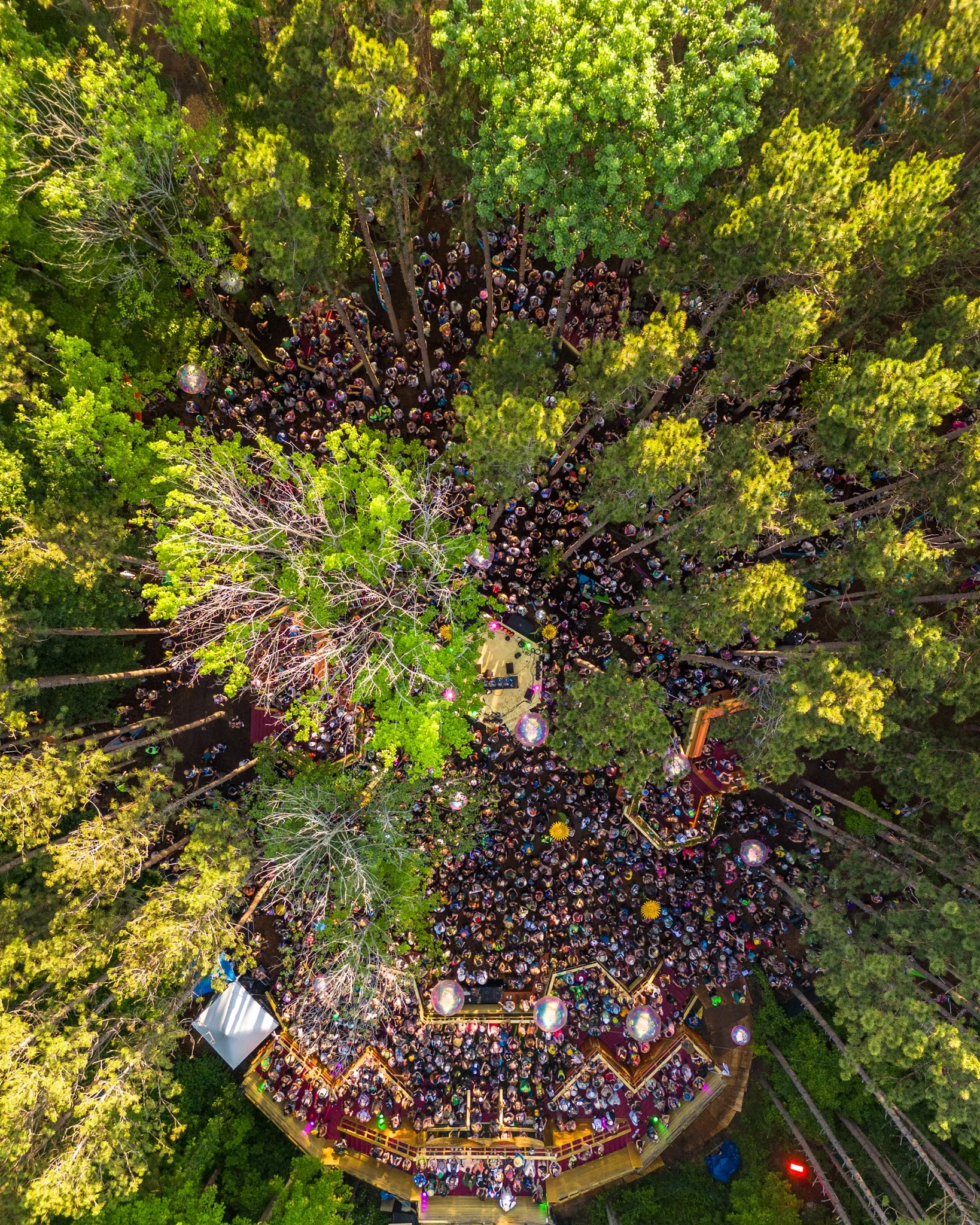 Electric Forest Announces Anticipated 2026 Lineup