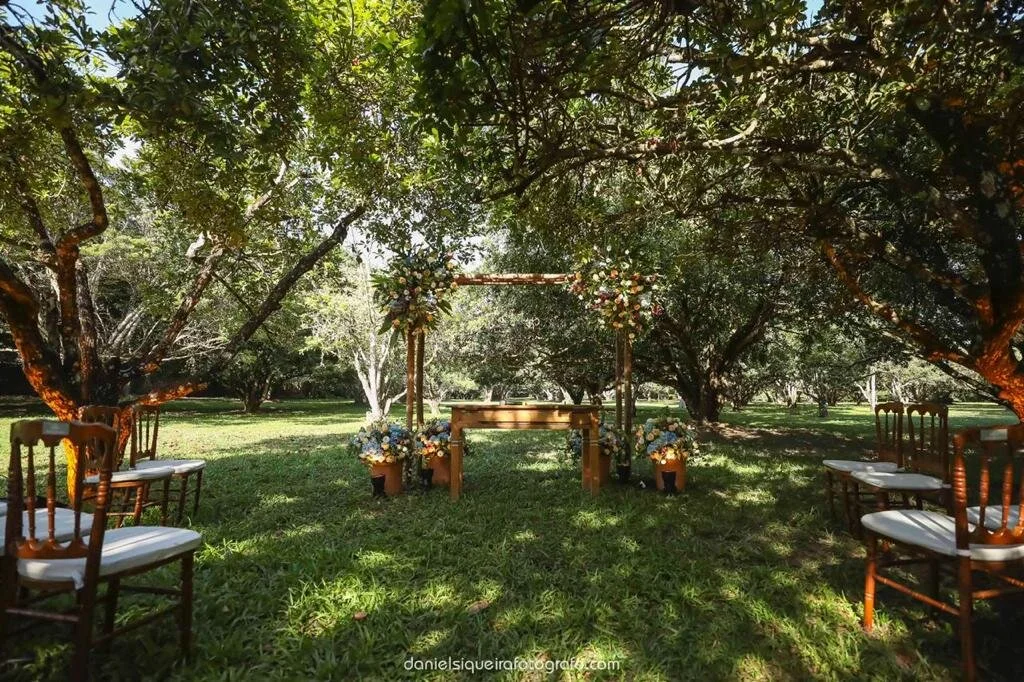 WhatsApp Image 2020-11-06 at 16.32.12.jpeg