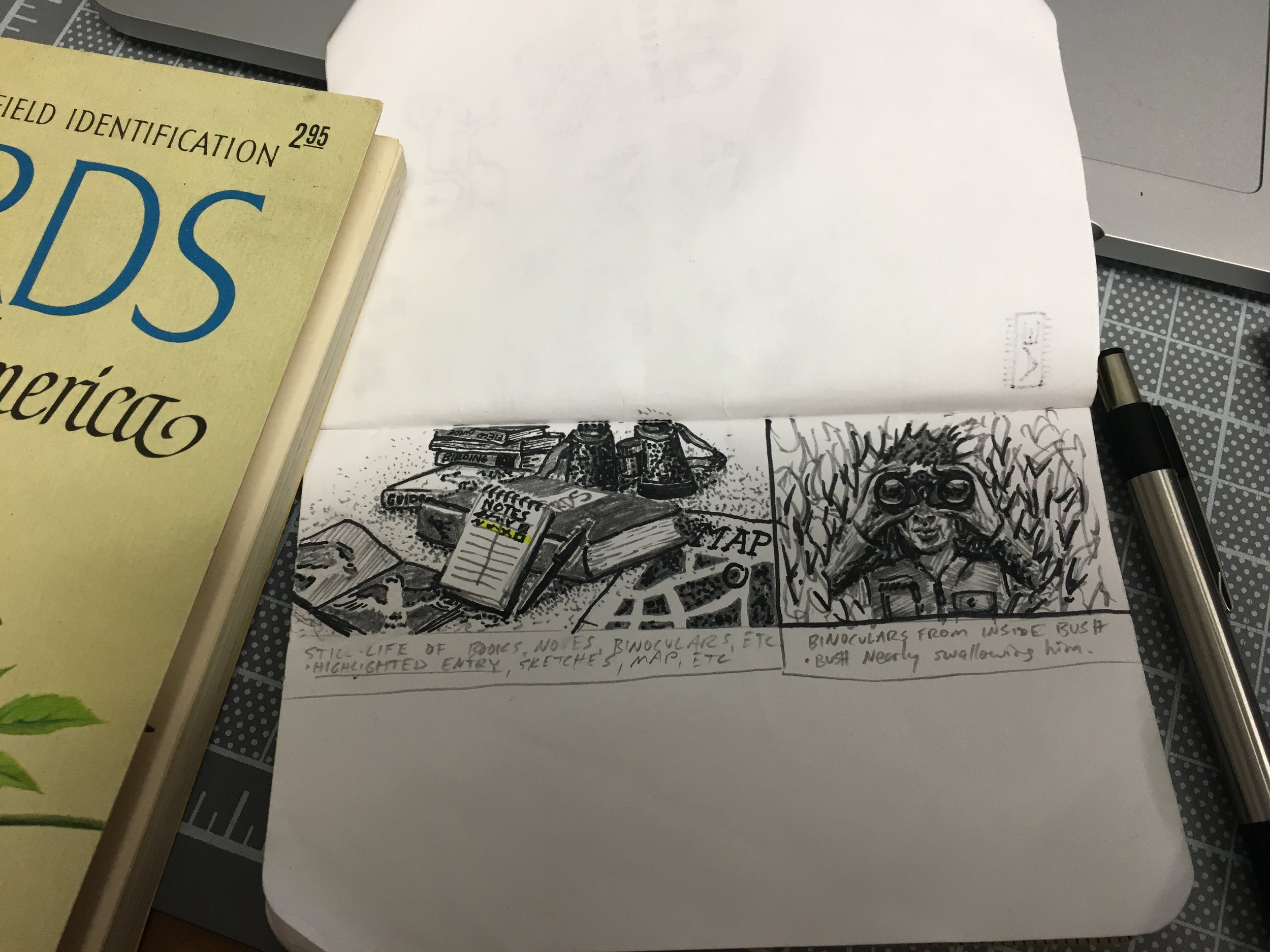 Concept Sketches for ‘Murmurations’, 2015