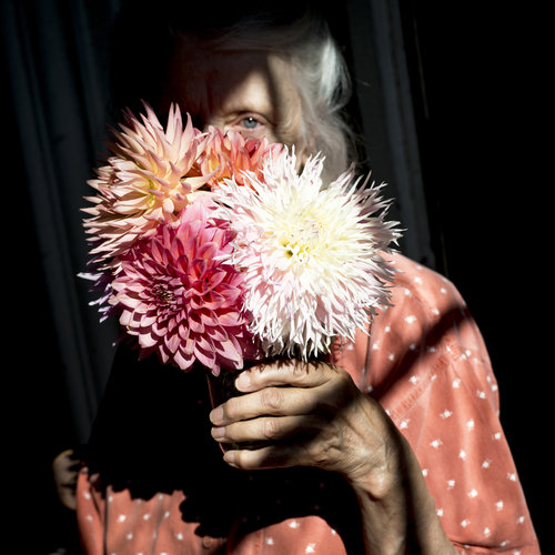 Cig Harvey, 2017, Dahlias
