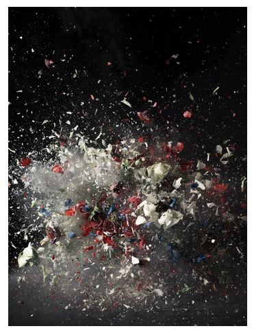 Ori Gersht 01 copy.jpeg