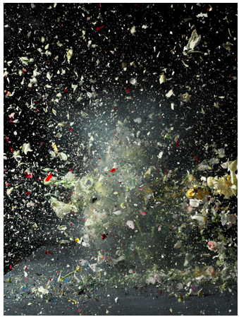 Ori Gersht 03 copy.jpeg