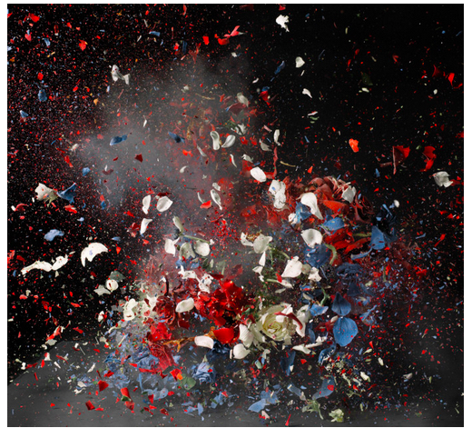 Ori Gersht 02 copy.jpeg