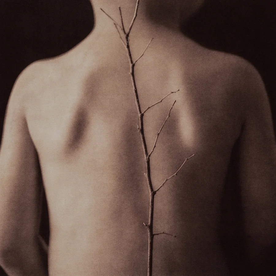 Kalyn Hawkins, from Thanatopsis