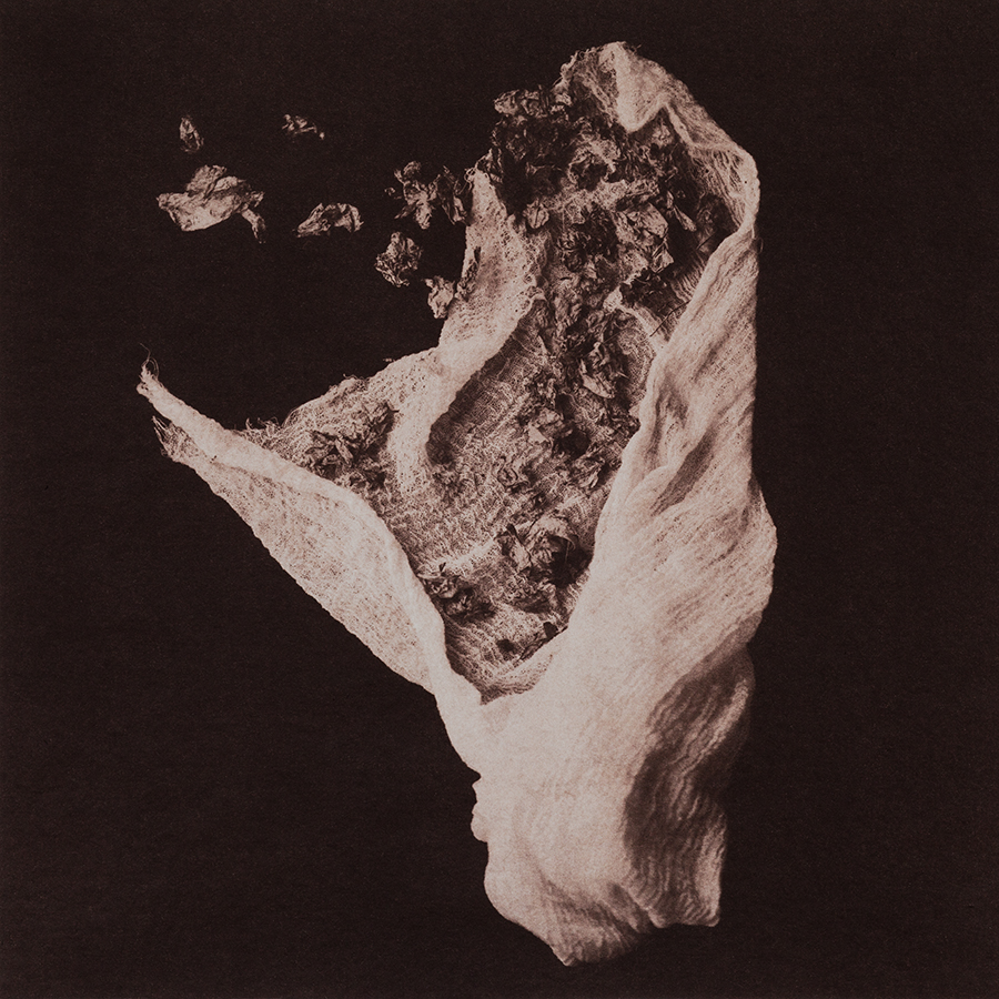 Kalyn Hawkins, from Thanatopsis