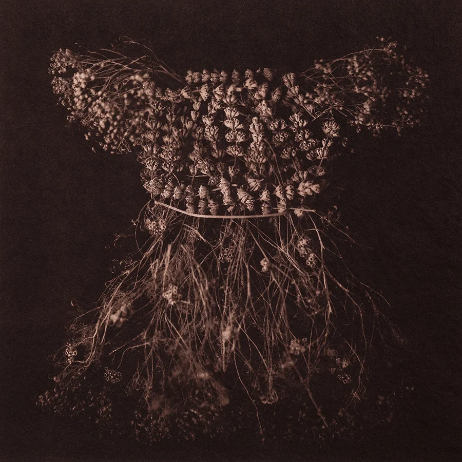 Kalyn Hawkins, from Thanatopsis