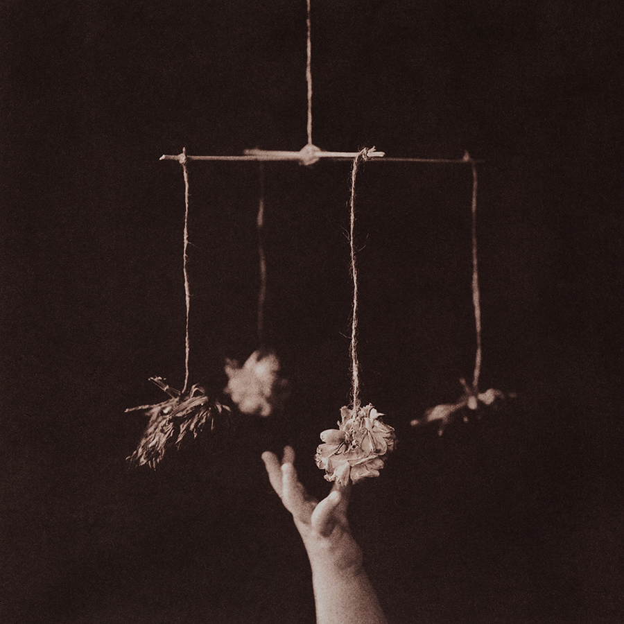 Kalyn Hawkins, from Thanatopsis