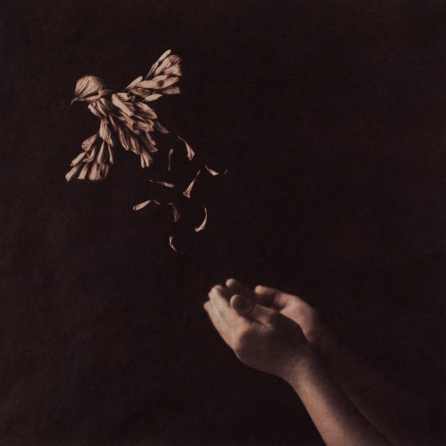 Kalyn Hawkins, from Thanatopsis