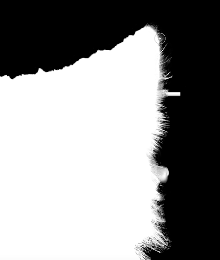 Using Refine Edge Tool