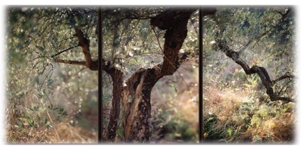 Figure 5. JoAnn Verburg, Under the Rocca, 2002, three chromogenic prints