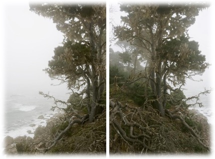 Figure 6. Karin Apollonia Müller Landscape, TC, 9613, 2011, two pigment prints