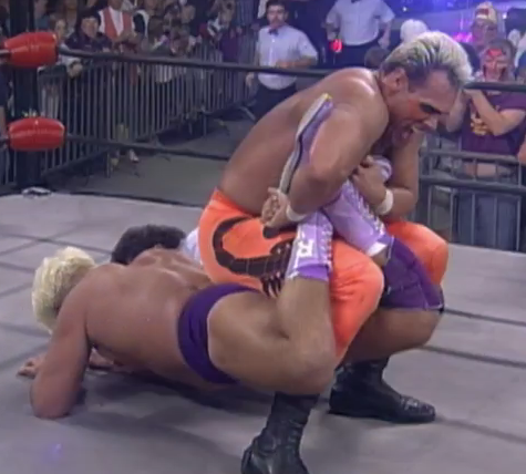 Sting helping Flair find his lost contact lens.
