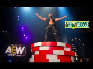 Podswoggle446Pic.jpg