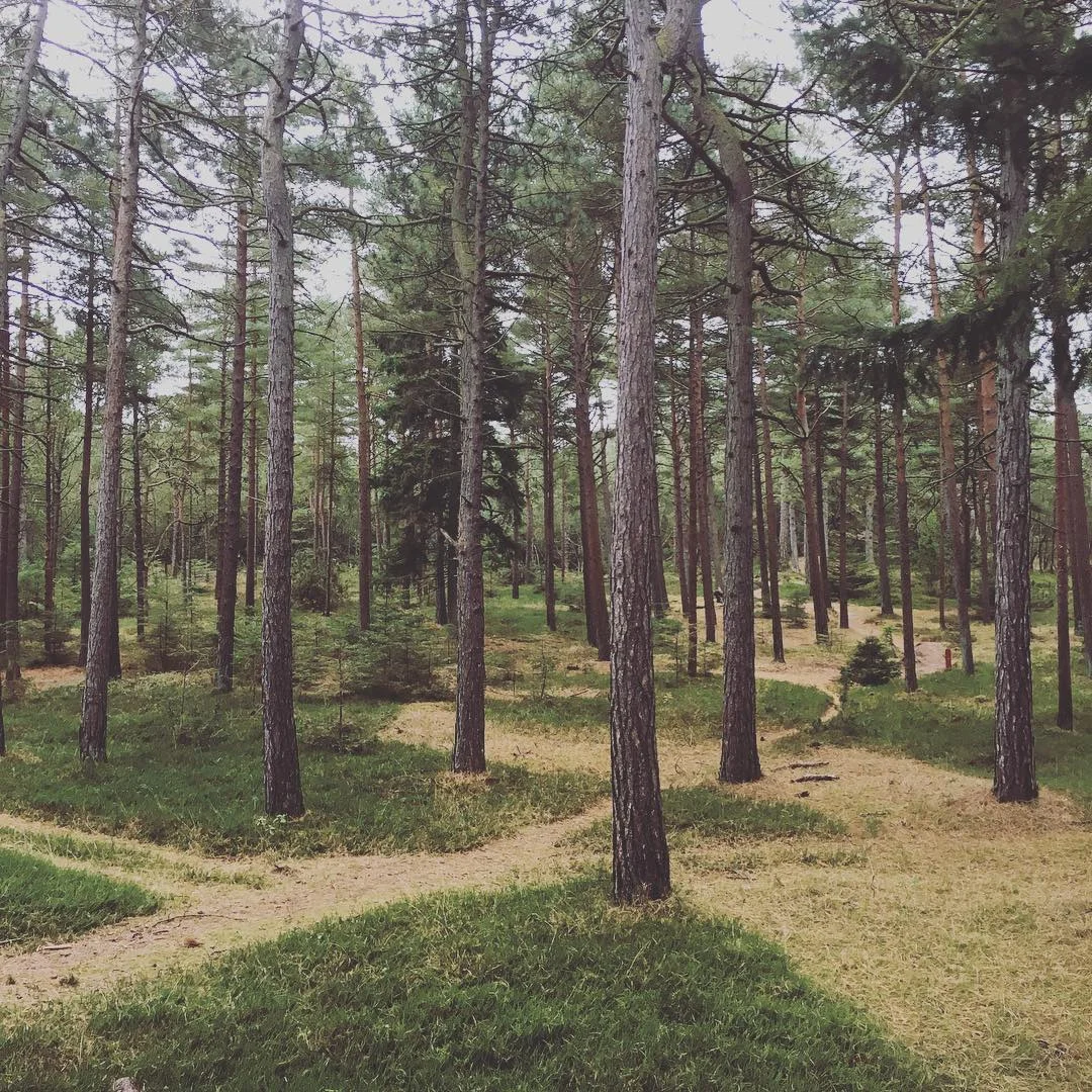 Nelli_Arnth_Hönshuset_Creative_Studio_2_år_som_selvstændig6.jpg