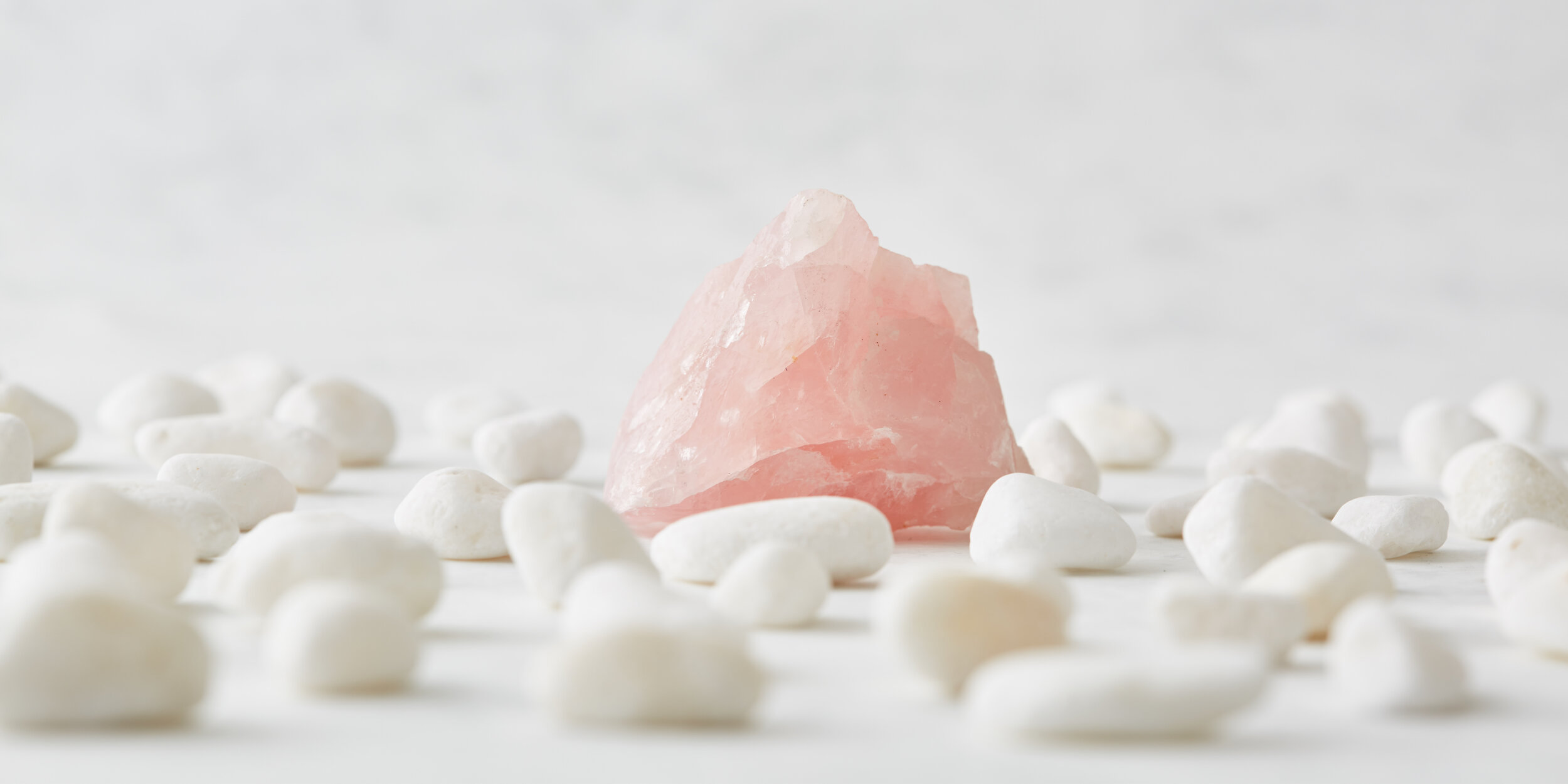 SET STYLING/PROPS/CONCEPT: Melissa Burgess | PHOTOGRAPHY: Yeshen Venema