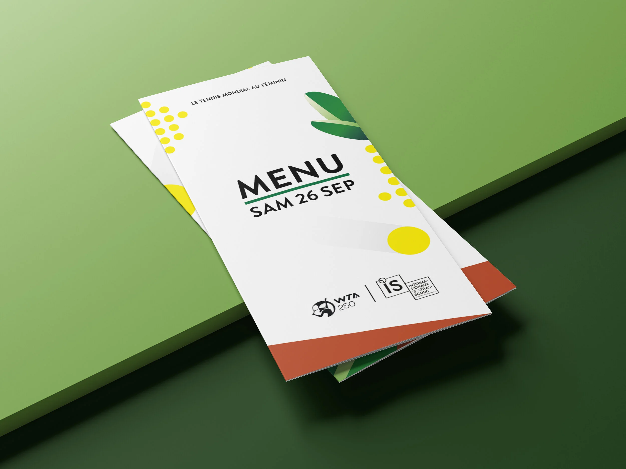Trifold Brochure Mockups.jpg